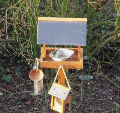 New bird table at Cornhills farmhouse.